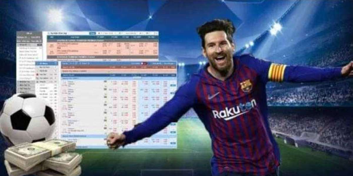 Information player need to know about reputable bookmakers' football odds